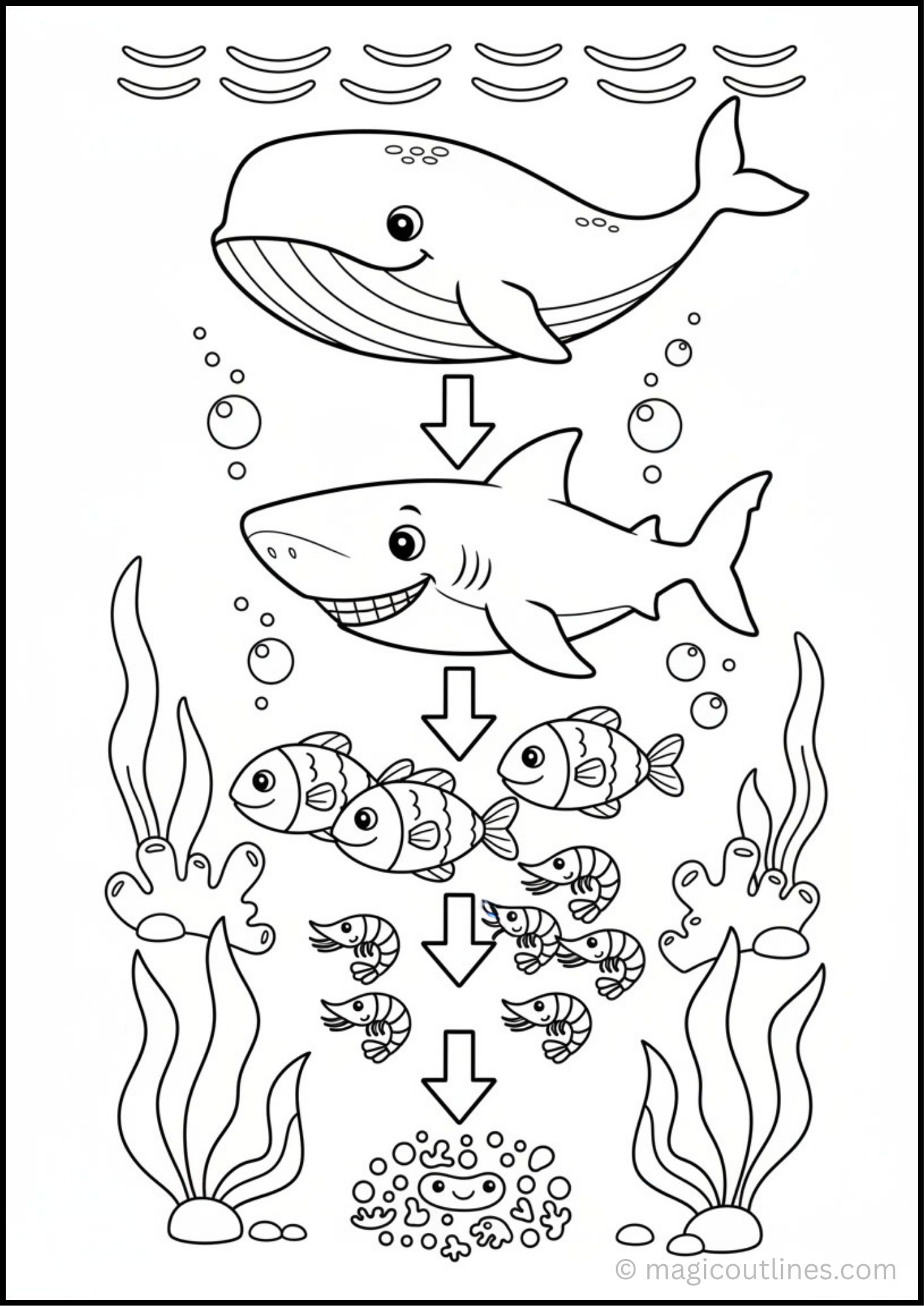 Ocean Food Chain Coloring Page (Free Printable PDF)