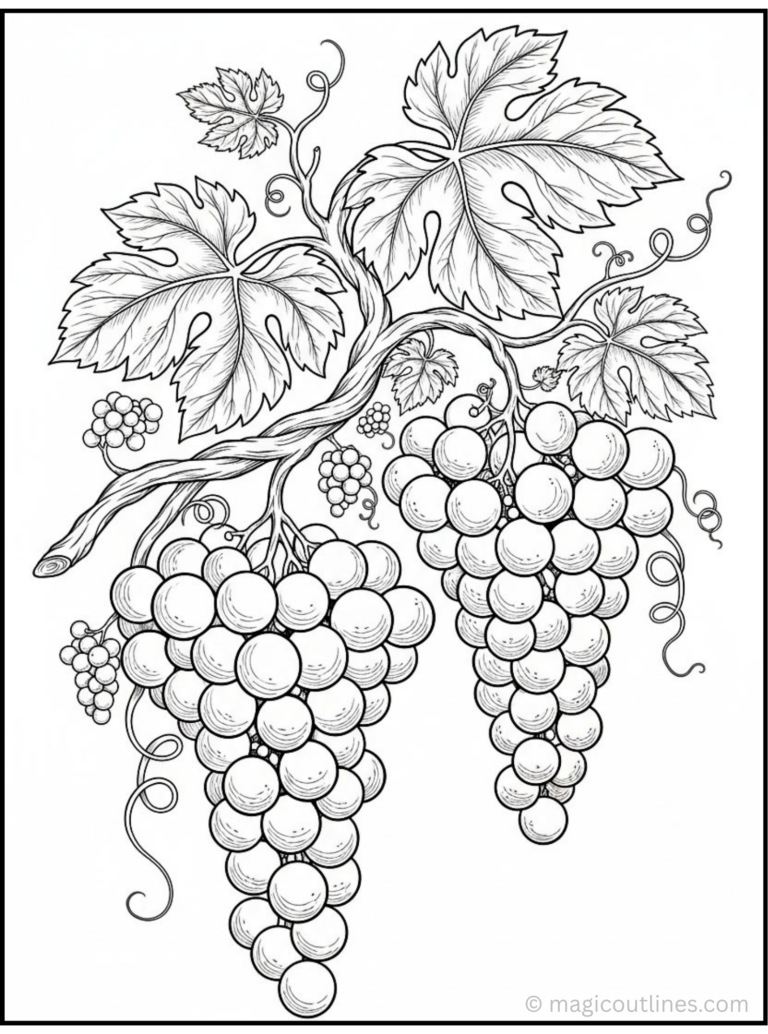 Grapes coloring page featuring two bunches of grapes hanging from a vine with large leaves and curling tendrils.