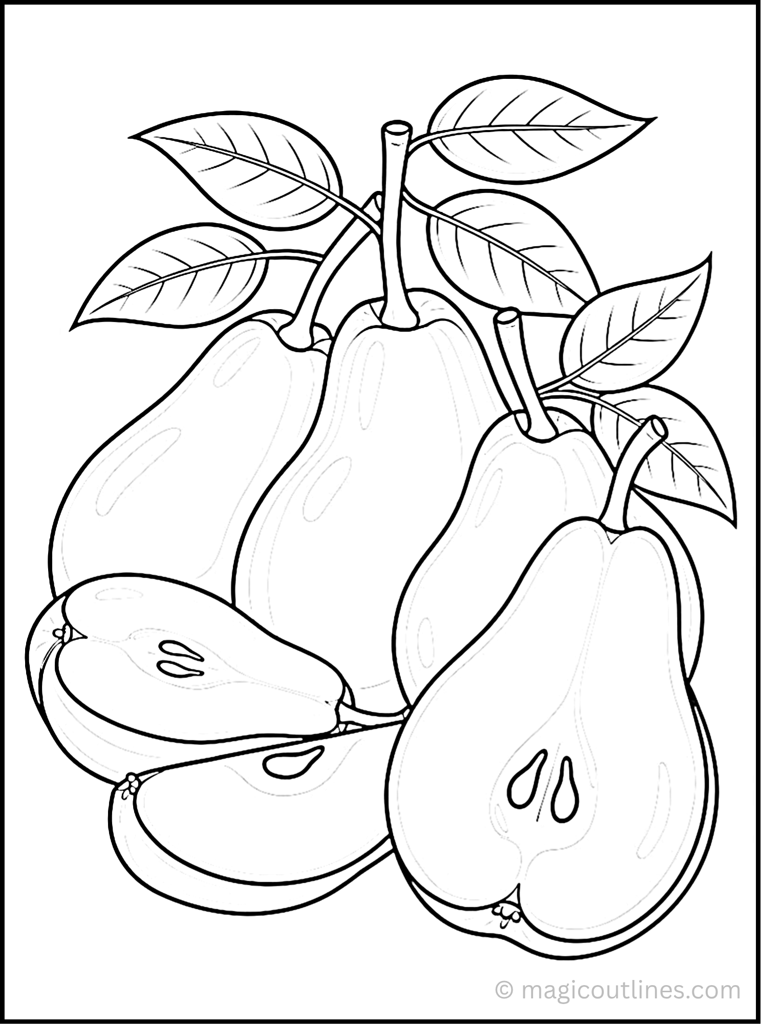 Pear coloring page printable featuring whole pears, sliced pears, and fresh green leaves.