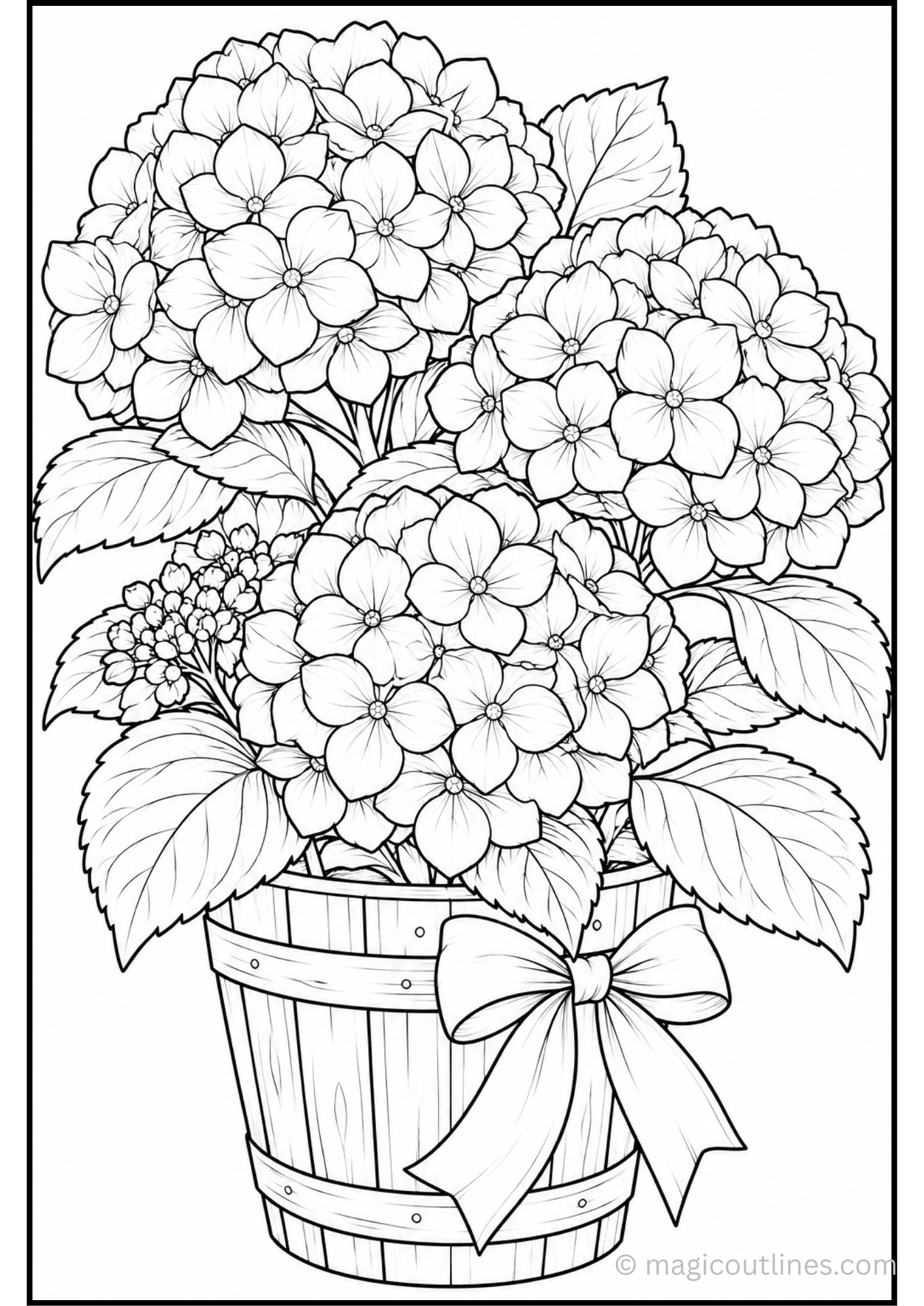 Detailed hydrangea flower coloring page with clusters of small blossoms, leaves, and clean botanical line art